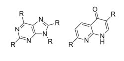 Examples of core structures of bicyclic non-Xanthine based adenosine A2A antagonists