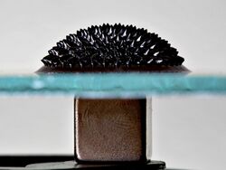Ferrofluid Magnet under glass edit.jpg