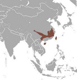 Insular Mole area.png