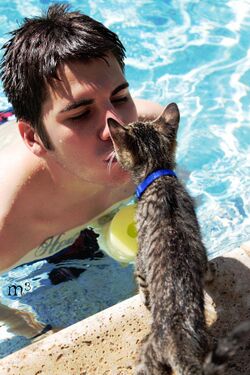 Kitten kiss.jpg