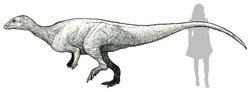 Macrogryphosaurus life reconstruction.png