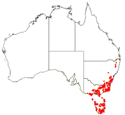 Olearia argophylla distribution map.png