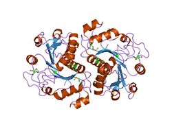 PDB 1jzt EBI.jpg