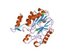 PDB 1xfj EBI.jpg