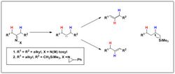Silicon-directed Bamford-Stevens reaction of β-Trimethylsilyl N-aziridinylimines.jpg