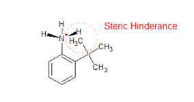 Steric Inhibition of Protonation