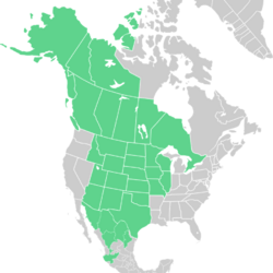 Symphyotrichum falcatum distribution.png