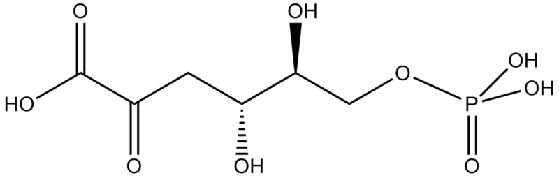 File:2-keto-3-deoxy-6-phosphogluconate.png