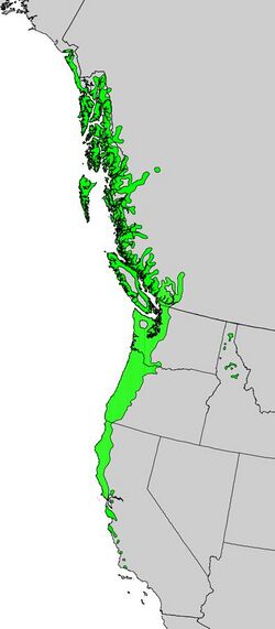 Alnus rubra range map.jpg