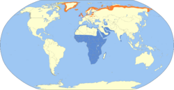 Charadrius hiaticula map.svg