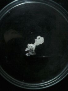 A sample of cinnamyl alcohol on a petri dish.