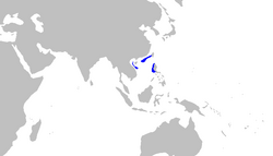 Cirrhoscyllium expolitum distmap.png