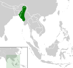 Cyclemys fusca distribution map.png