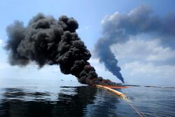 Oil from an oil spill being removed through combustion