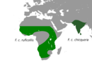 Central, western and southern Africa, India