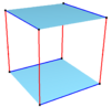 Isogonal skew octagon on cube.png