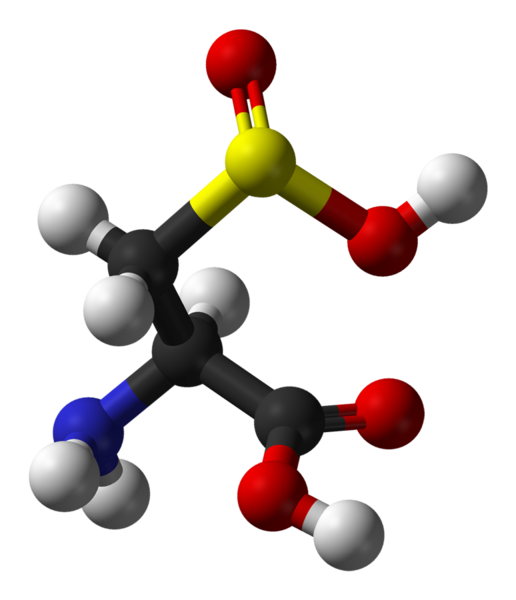 File:L-Cysteine-sulfinic-acid-3D-balls.png
