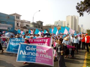 Anti-gender march in Lima, Peru