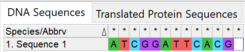 A short DNA sequence composed of 12 nucleotides.