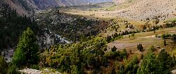 Rupal River - Pakistan.jpg