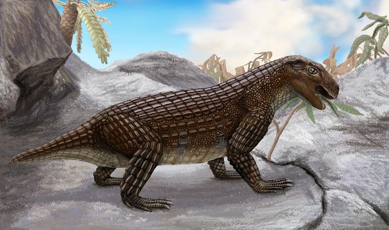 File:Simosuchus.jpg
