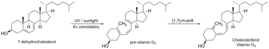 Vitamin D3 synthesis.svg