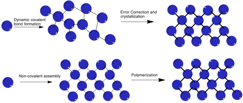 File:2D polymerization under thermodynamic control (top) versus kinetic control (bottom). Solid black lines represent covalent bond formation..png