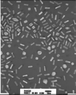 A greyscale electron micrograph of nanoparticles of different sizes and shapes