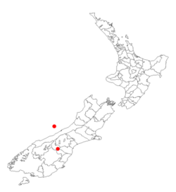 Carex albula DistMapNZ.png