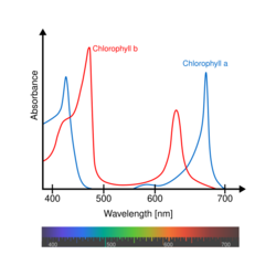 Chlorophyll ab spectra-en.svg