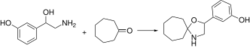 Ciclafrine synthesis.svg