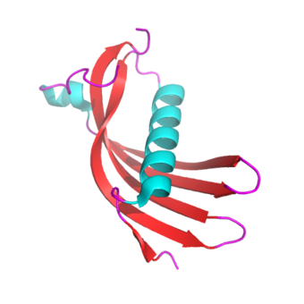 Crystal structure of human cystatin C monomer.png