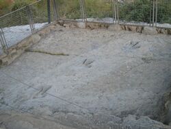 Dinosaur footprints Yacimiento de Valdecevillo Enciso.jpg