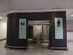 Gatwick airport public toilets (41077301785).jpg