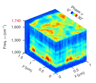 hyperspectral nano-FTIR image
