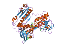 PDB 2aaq EBI.png