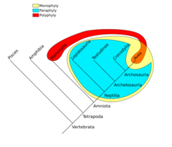 Phylogenetic-Groups.svg