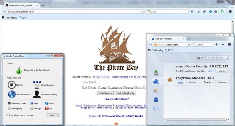 File:PirateBrowser main page addon tor.jpg