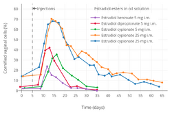 Vaginal cornification with a single intramuscular injection of different estradiol esters in women.png
