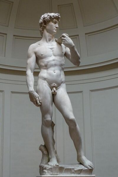 File:'David' by Michelangelo JBU0001.JPG