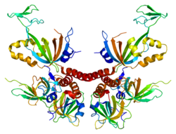 1L1O Replication protein A.png