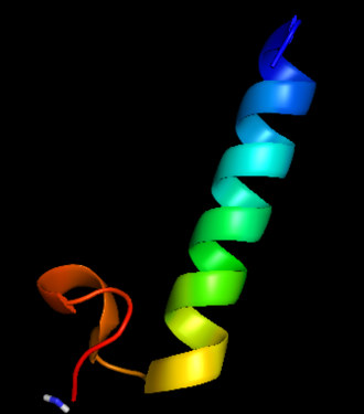 A 3D cartoon of procalcitonin's parent compound, calcitonin.png