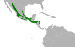 Aimophila rufescens map.svg