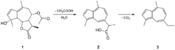 Chamazulen synthesis.png