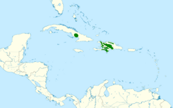 Corvus palmarum map.svg