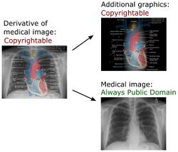 Derivative of medical imaging.jpg