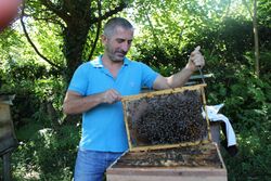 Gurian Beekeeper.jpg