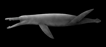 Kronosaurus queenslandicus SW.png