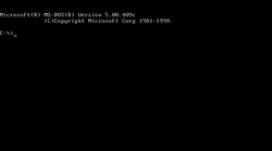 MS-DOS 5.00.409 Beta.png