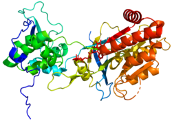 Methionine Synthase Reductase 2QTL.png